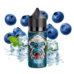 Жидкость FlavorLab RF 350 Blueberry Menthol 30 мл на солевом никотине для под системы