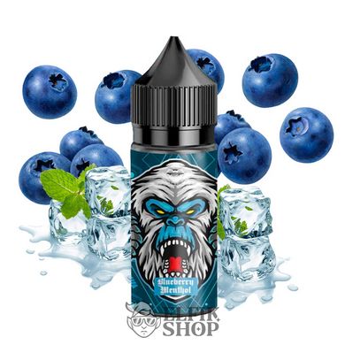 Жидкость FlavorLab RF 350 Blueberry Menthol 30 мл на солевом никотине для под системы