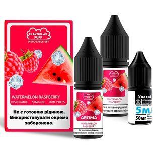 Набір Flavorlab Disposable Puff Salt 10 мл Watermelon Raspberry 50 мг